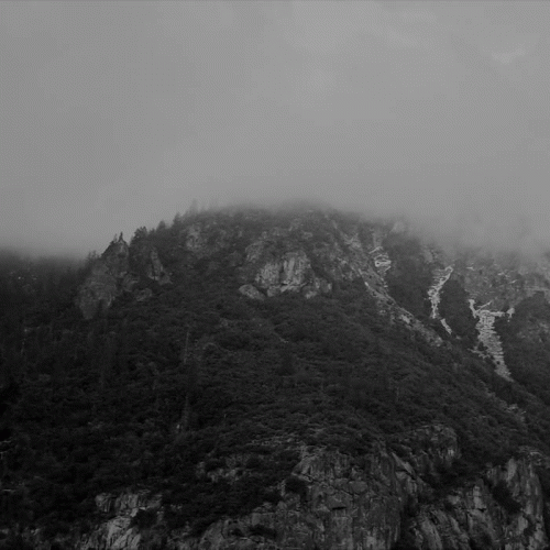 Bialywilk : Nine of Swords